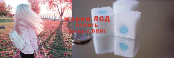 индика Белоозёрский