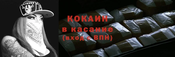 индика Беломорск
