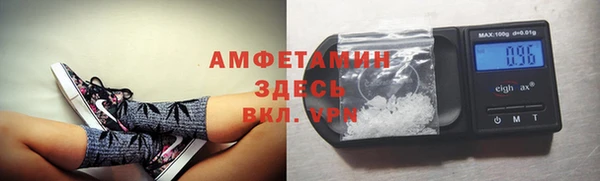 индика Беломорск