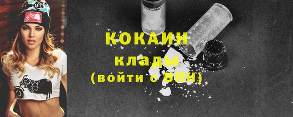 индика Беломорск