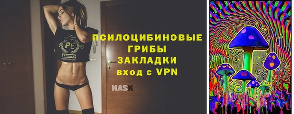 mdpv Белокуриха