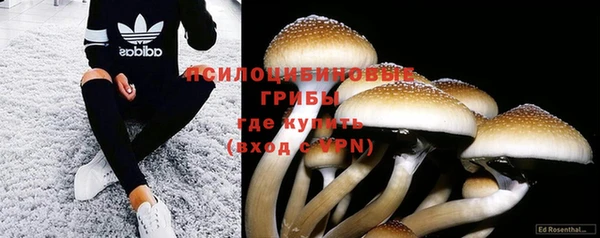 mdpv Белокуриха