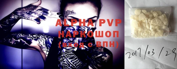 индика Беломорск
