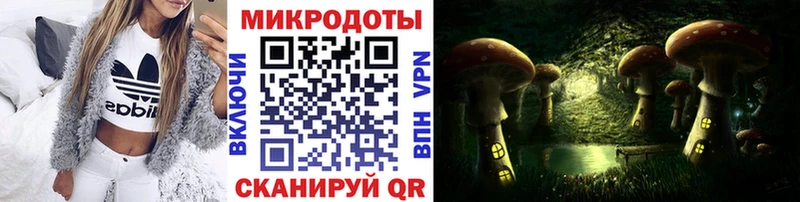 даркнет как зайти  Кувшиново  Псилоцибиновые грибы Psilocybe 